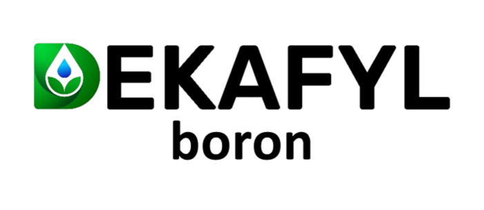 Dekafyl boron Dekafyl boron